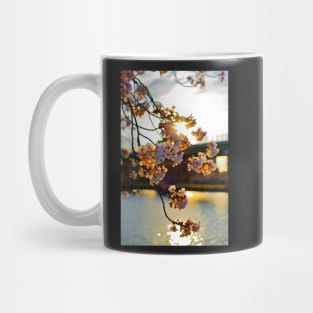 Japan - 'Sakura Sunset' Mug